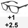 OKULARY dwuogniskowe DAL: +1, BLIŻ: +2.5